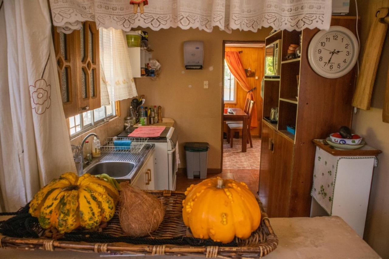 La Huerta Apartamento Vicuña Exterior foto